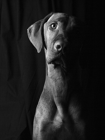 Jeffrey T. Horvath Photography
