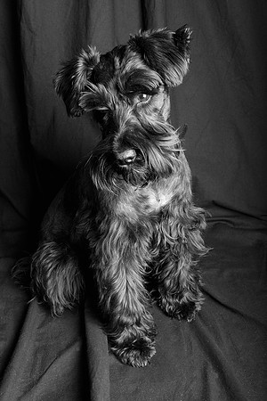 Jeffrey T. Horvath Photography