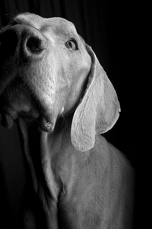 Jeffrey T. Horvath Photography