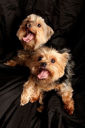 Jeffrey T. Horvath Photography