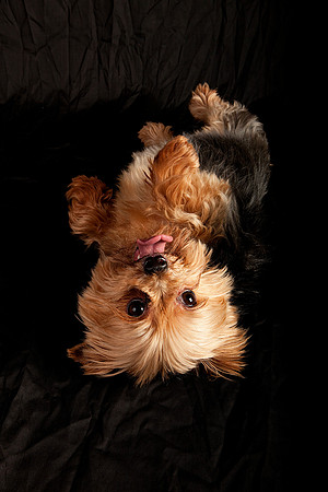 Jeffrey T. Horvath Photography