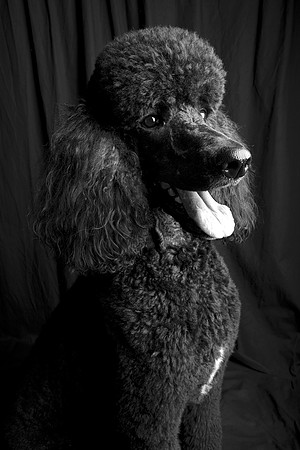 Jeffrey T. Horvath Photography