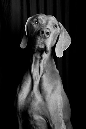 Jeffrey T. Horvath Photography