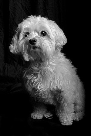 Jeffrey T. Horvath Photography