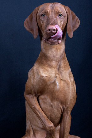 Jeffrey T. Horvath Photography