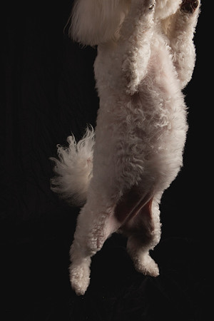Jeffrey T. Horvath Photography