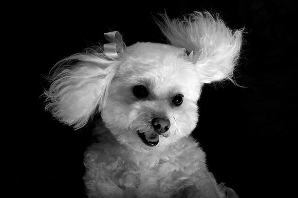 Jeffrey T. Horvath Photography