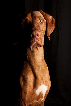 Jeffrey T. Horvath Photography