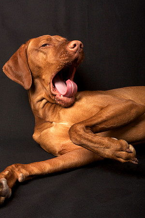 Jeffrey T. Horvath Photography