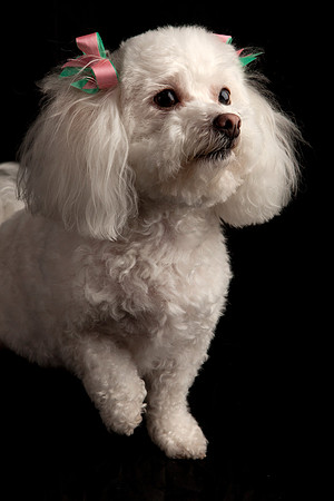 Jeffrey T. Horvath Photography