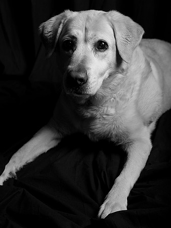 Jeffrey T. Horvath Photography
